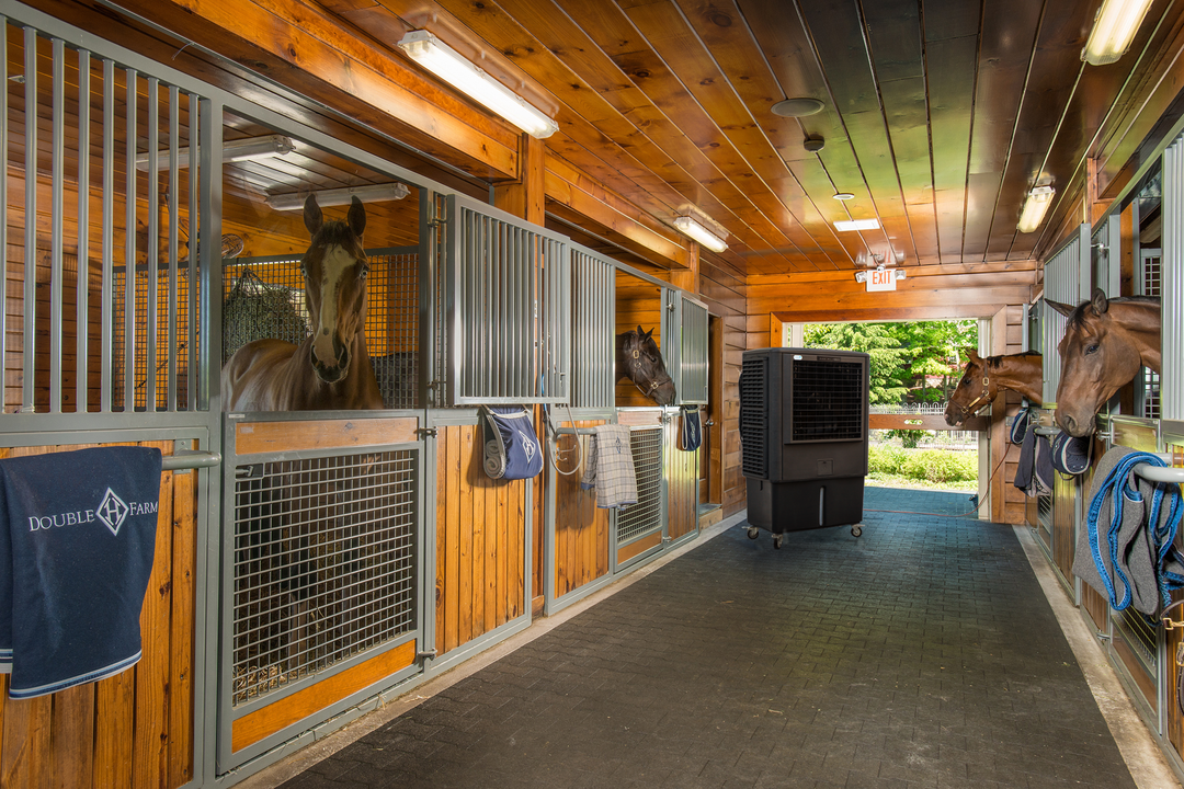 Keeping Livestock Cool: How Evaporative Coolers Protect Animals from Heat Stress